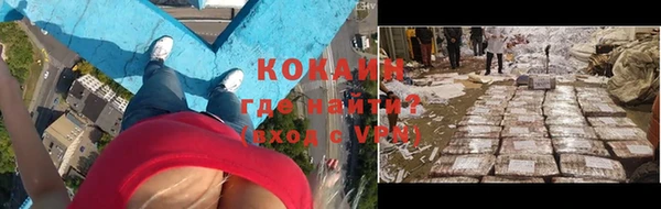 соль ск Абаза