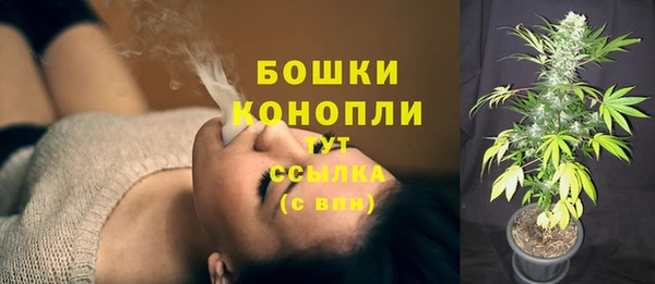 соль ск Абаза